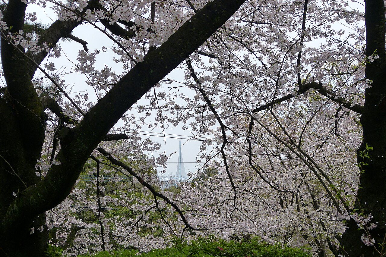 西公園の風景
