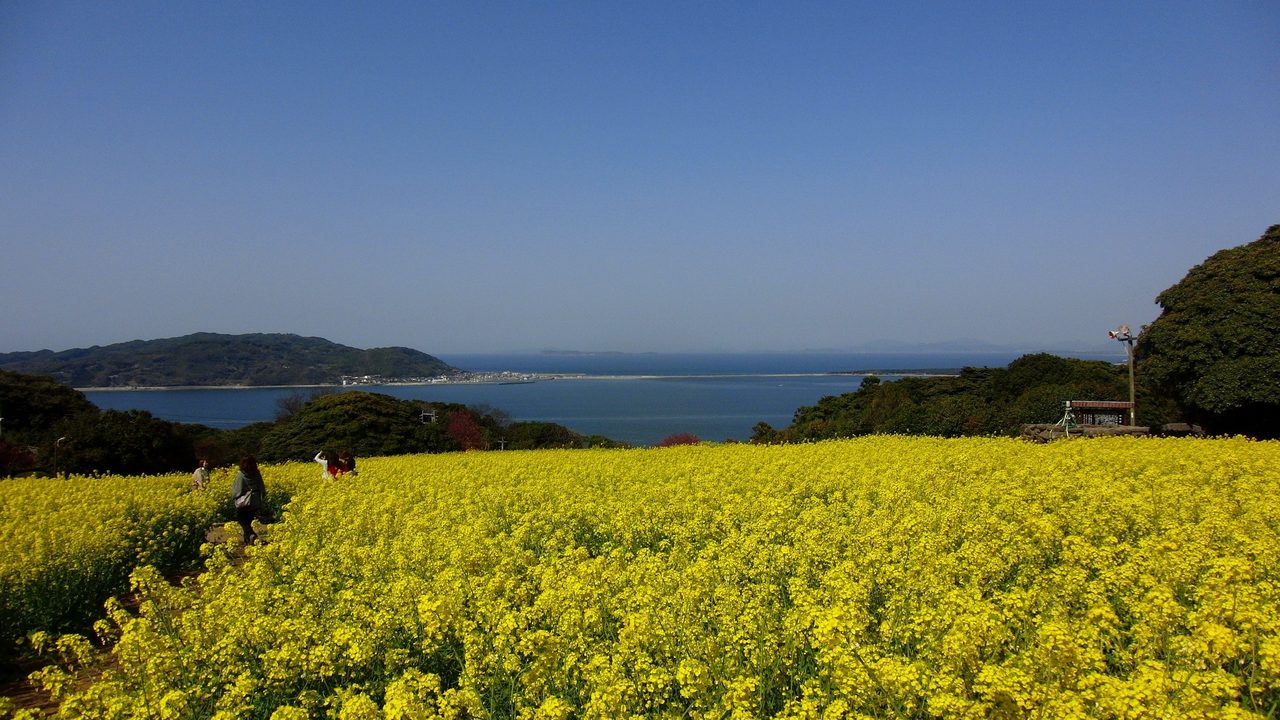 能古島の風景