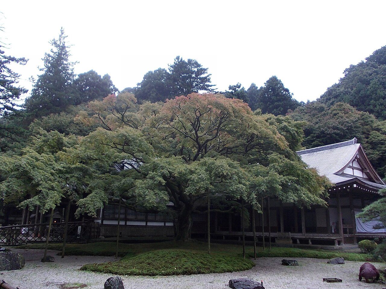 雷山千如寺大悲王院の風景
