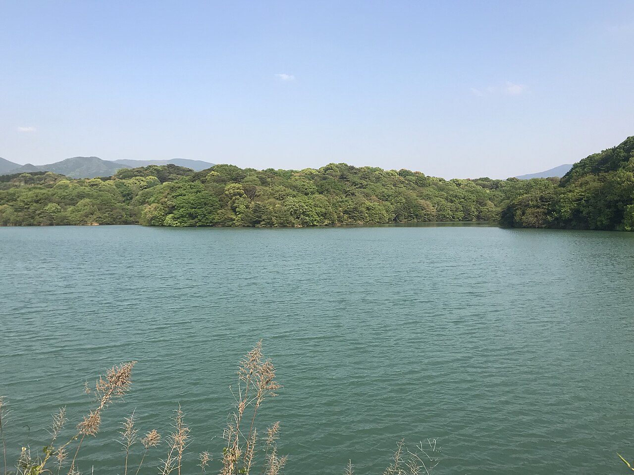 篠栗九大の森の風景
